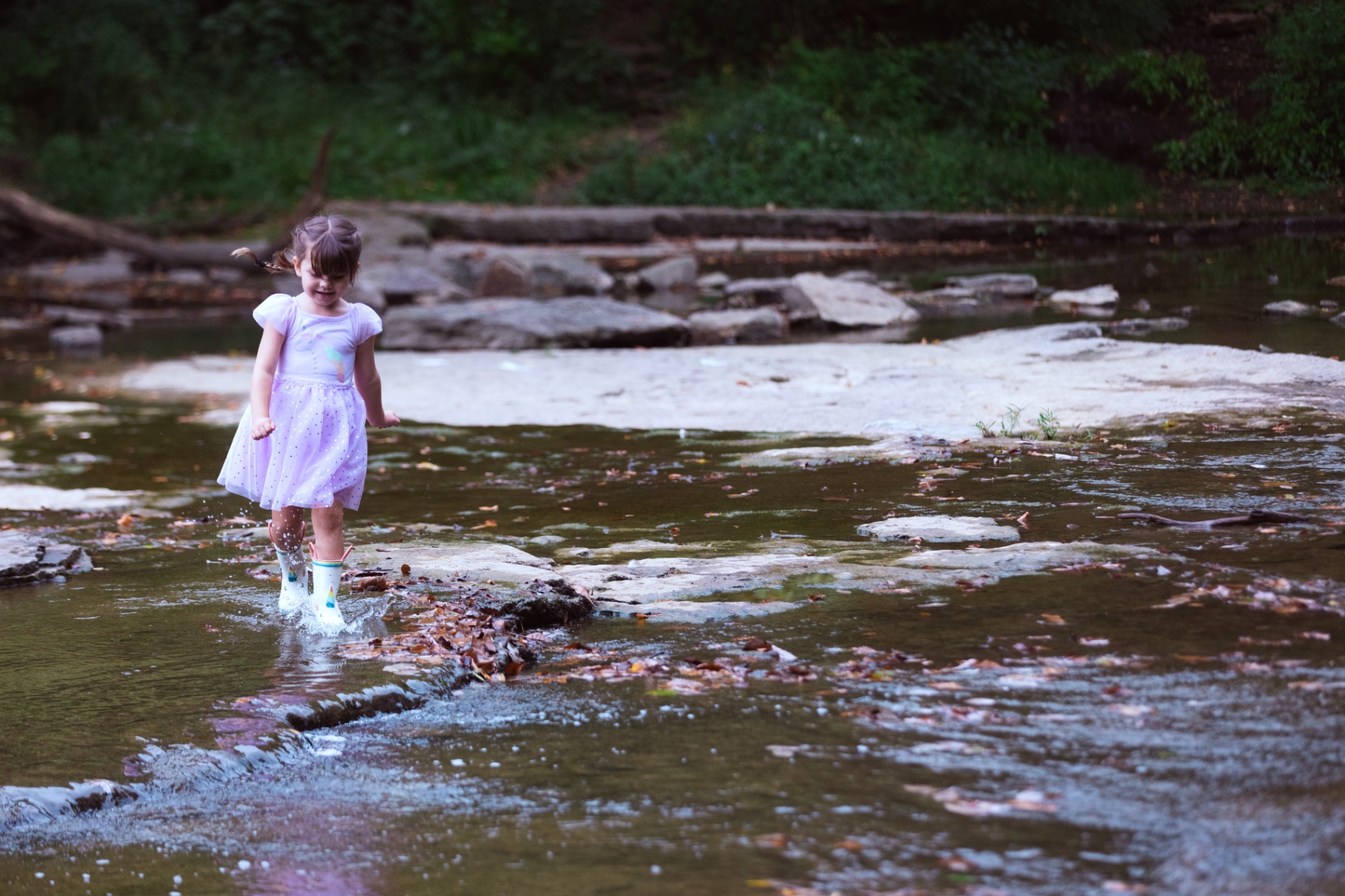 Big Rock - Cherokee Park in Louisville